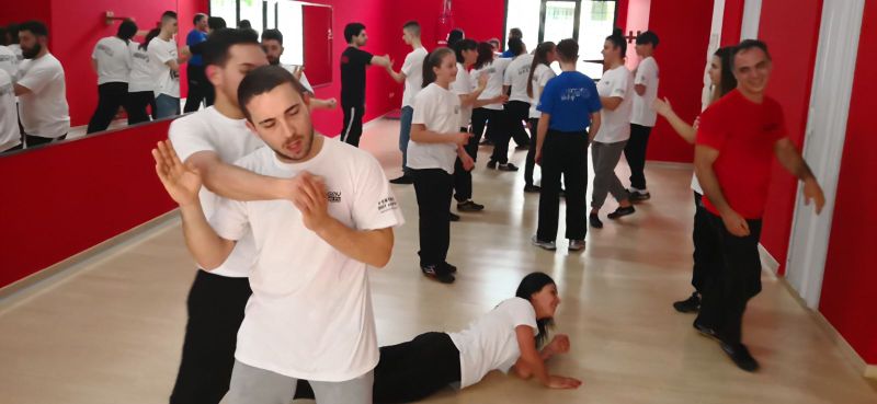 Stage Wing Chun San Severo con Sifu Mezzone della Kung  Fu Academy Caserta Italia (4)